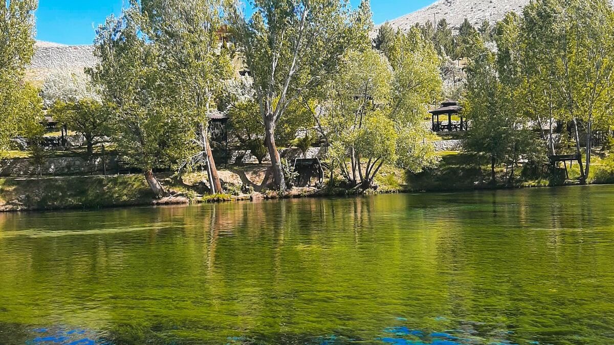 Veridect Launches Enterprise AI Verification Platform That Runs Four Models in Parallel to Ensure Accountability