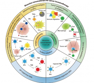 Bioactive nanomaterials help the immune system find hidden tumors