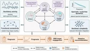 Hebei Medical University Researchers Review Prolonged Disorders of Consciousness Management