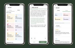 Renée Space Introduces AI Journaling: A Journal That Writes Back
