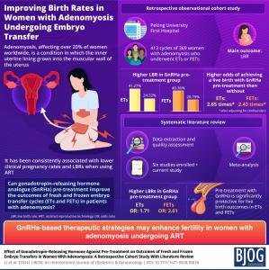 Peking University Researchers Report That Hormone Pre-Treatment May Improve Live Birth Rates in Women with Adenomyosis