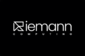 Riemann Computing’s prerelease AI model hits 500 downloads on Hugging Face
